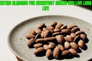 Eating almonds for breakfast makes you live long life 15 Eating almonds for breakfast makes you live long life-chaskaclub
