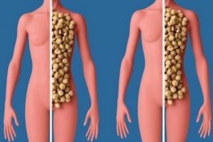 What Happens to Your Body When You Eat Walnuts Every Day: 10 Science-Backed Transformations 6 What Happens to Your Body When You Eat Walnuts Every Day 10 Science-Backed Transformations